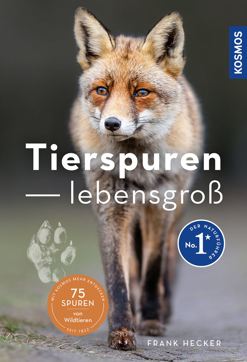 Tierspuren lebensgroß