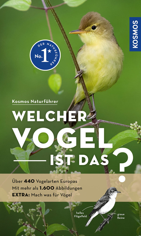 Welcher Vogel ist das?