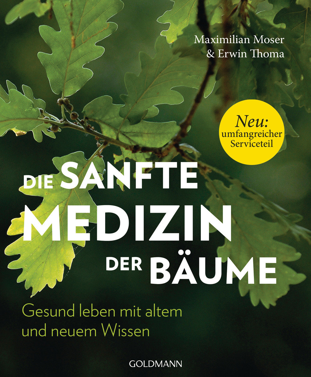 Die sanfte Medizin der Bäume