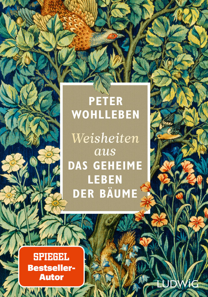 Weisheiten aus »Das geheime Leben der Bäume«