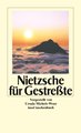 Nietzsche für Gestreßte