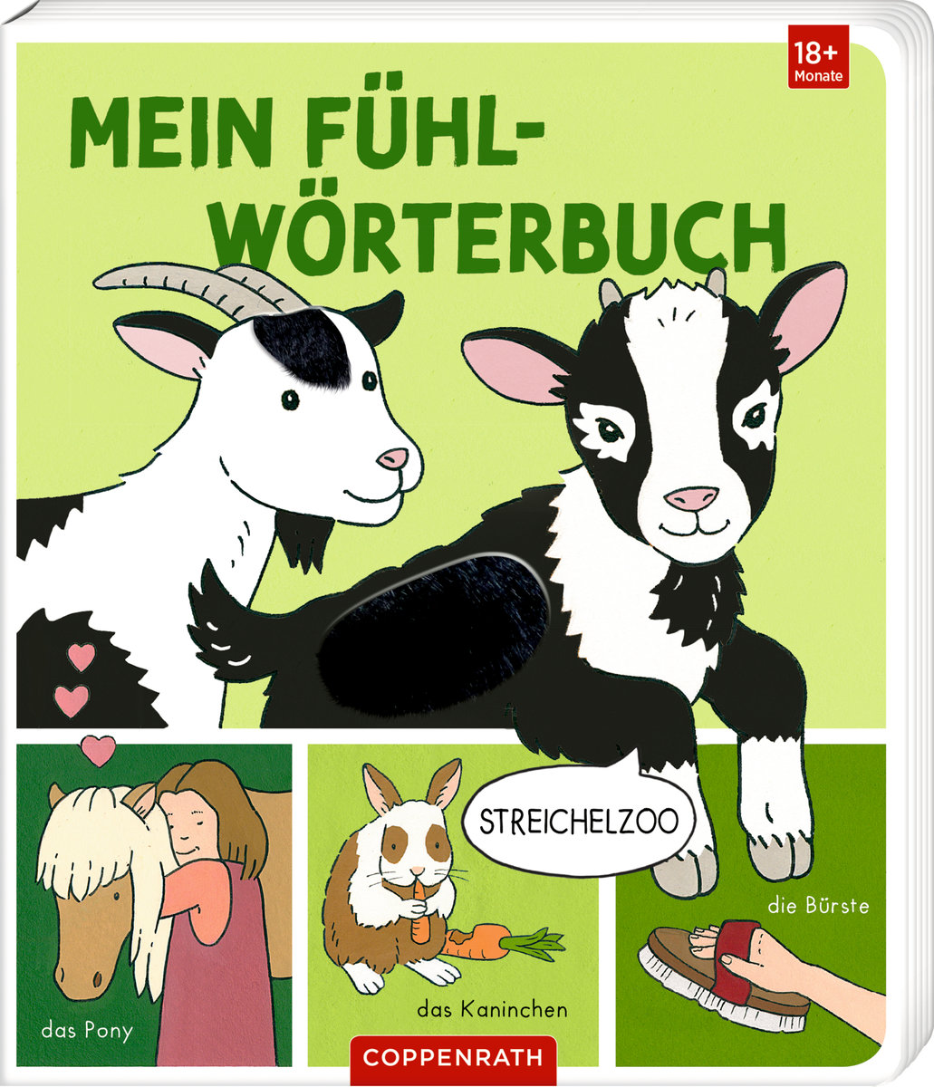 Mein Fühl-Wörterbuch