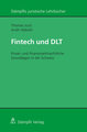 Fintech und DLT