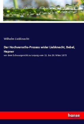 Der Hochverraths-Prozess wider Liebknecht, Bebel, Hepner