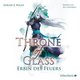 Throne of Glass 3: Erbin des Feuers