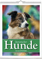 Literarischer Hunde - Kalender 2025