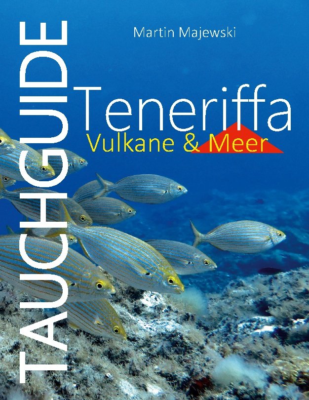 Tauchguide Teneriffa