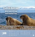 Alt! Aber gut drauf Postkartenkalender 2025 - Der tierische Rentnerkalender