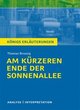 Am kürzeren Ende der Sonnenallee von Thomas Brussig.