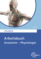 Arbeitsbuch Anatomie Lösungen zu 68453