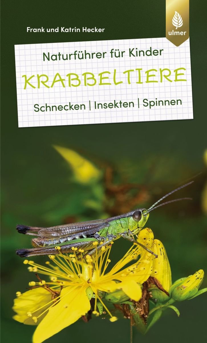 Naturführer für Kinder: Krabbeltiere