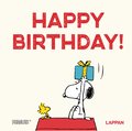 Peanuts Geschenkbuch: Happy Birthday!