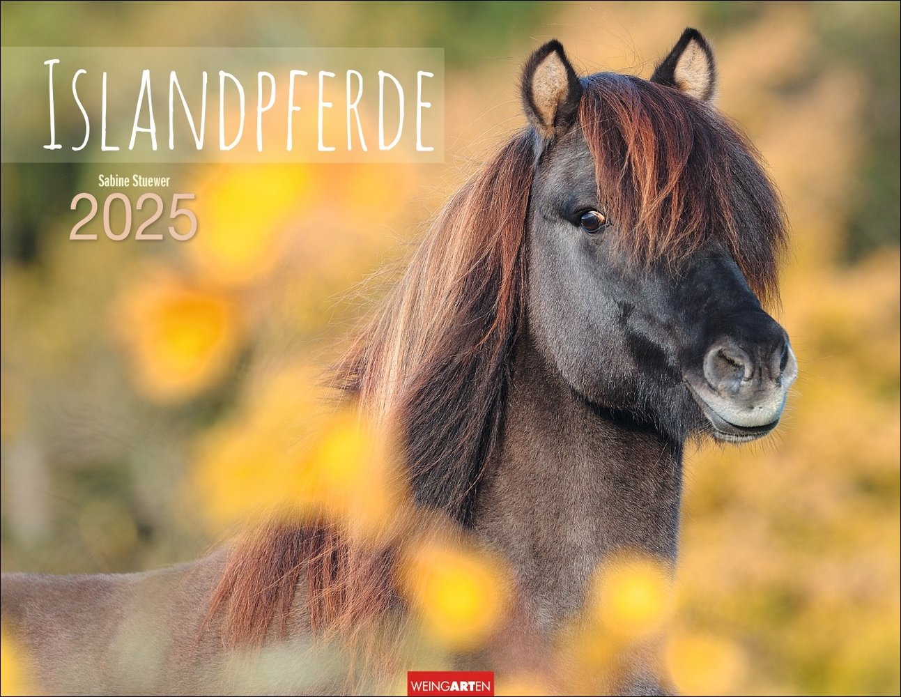 Islandpferde Kalender 2025