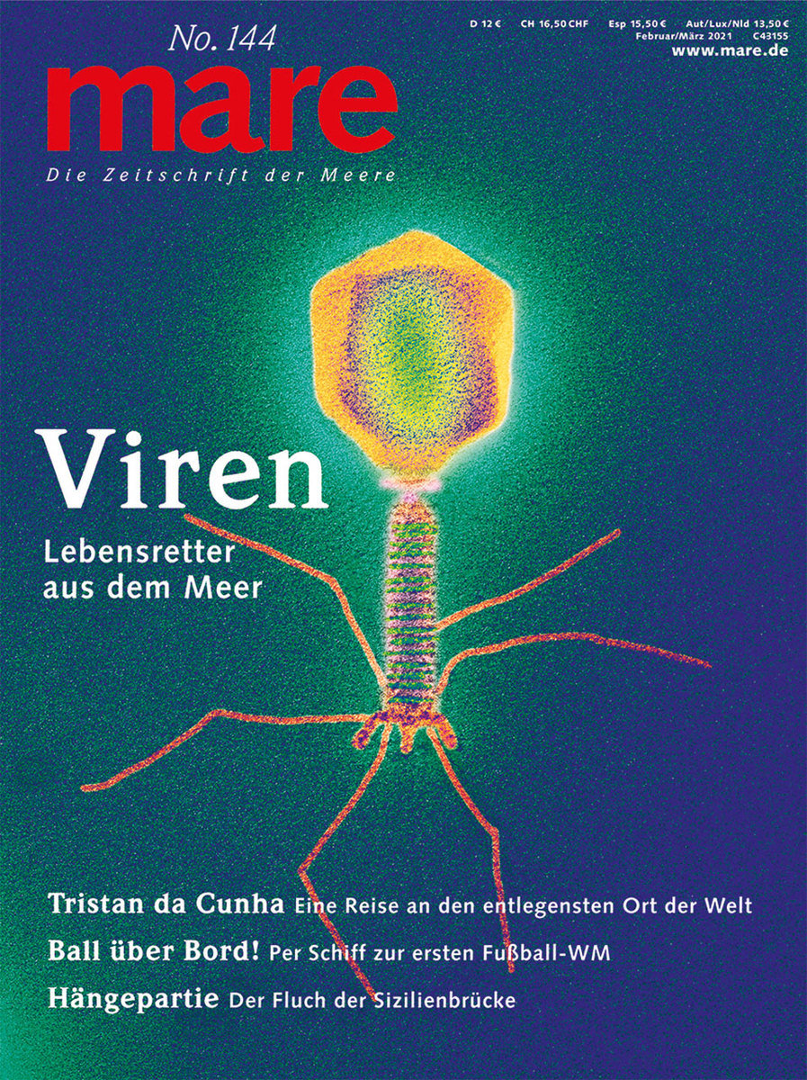 mare - Die Zeitschrift der Meere / No. 144 / Viren