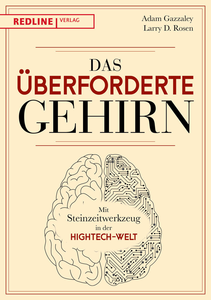 Das überforderte Gehirn