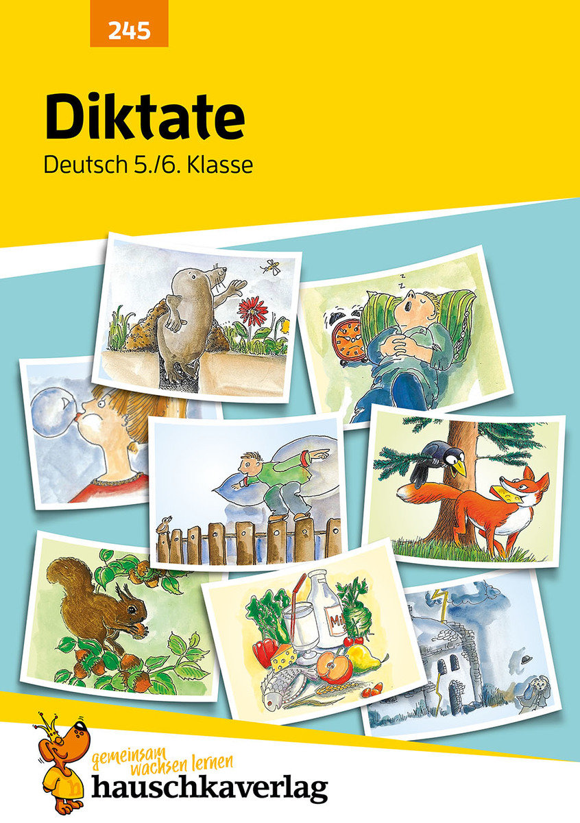 Diktate 5./6. Klasse, A5-Heft