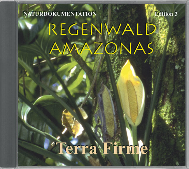 Regenwald Amazonas Edition 3 Terra Firme