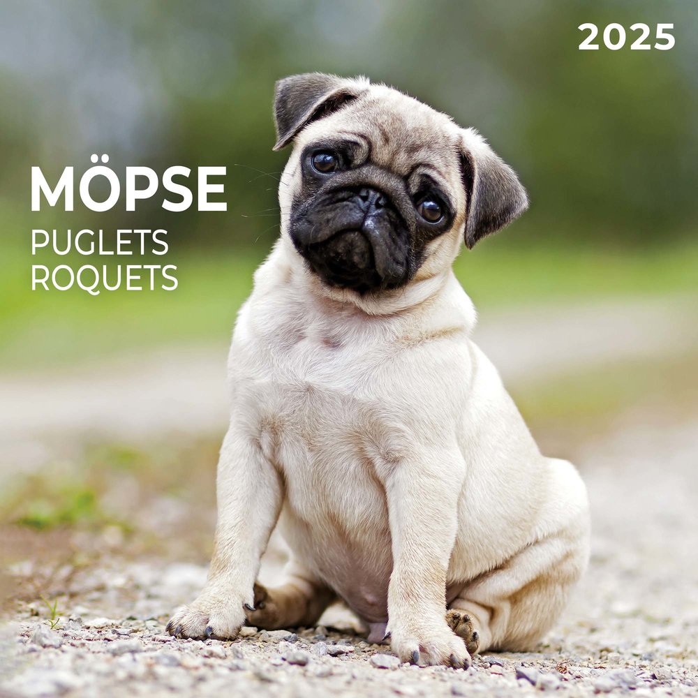 Möpse 2025