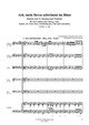 Ach, mein Herze schwimmt im Blute für zwei Violinen (Oboen), Viola, Sopran, Alt, Tenor, Bass, 4stg. gem. Chor und Generalbass TVWV 1:29