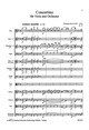 Concertino für Viola und Orchester op. 12